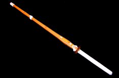 Picture of a Shinai Training Sword